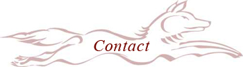 Banner_Contact.jpg